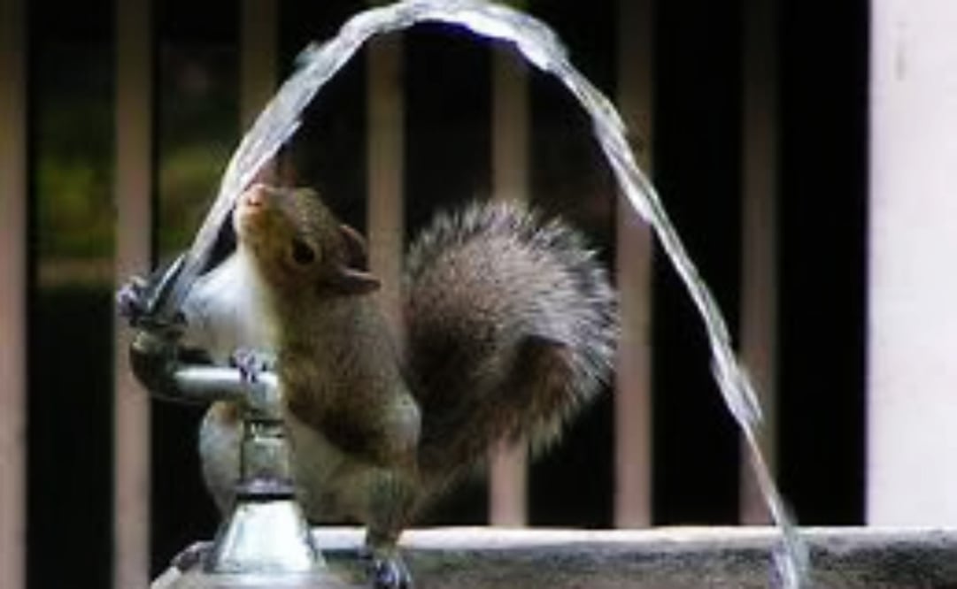 ¿Qué beber después de hacer ejercicio?