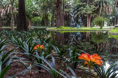 Parques y bosques abiertos en CDMX: qué sí y qué no puedes hacer