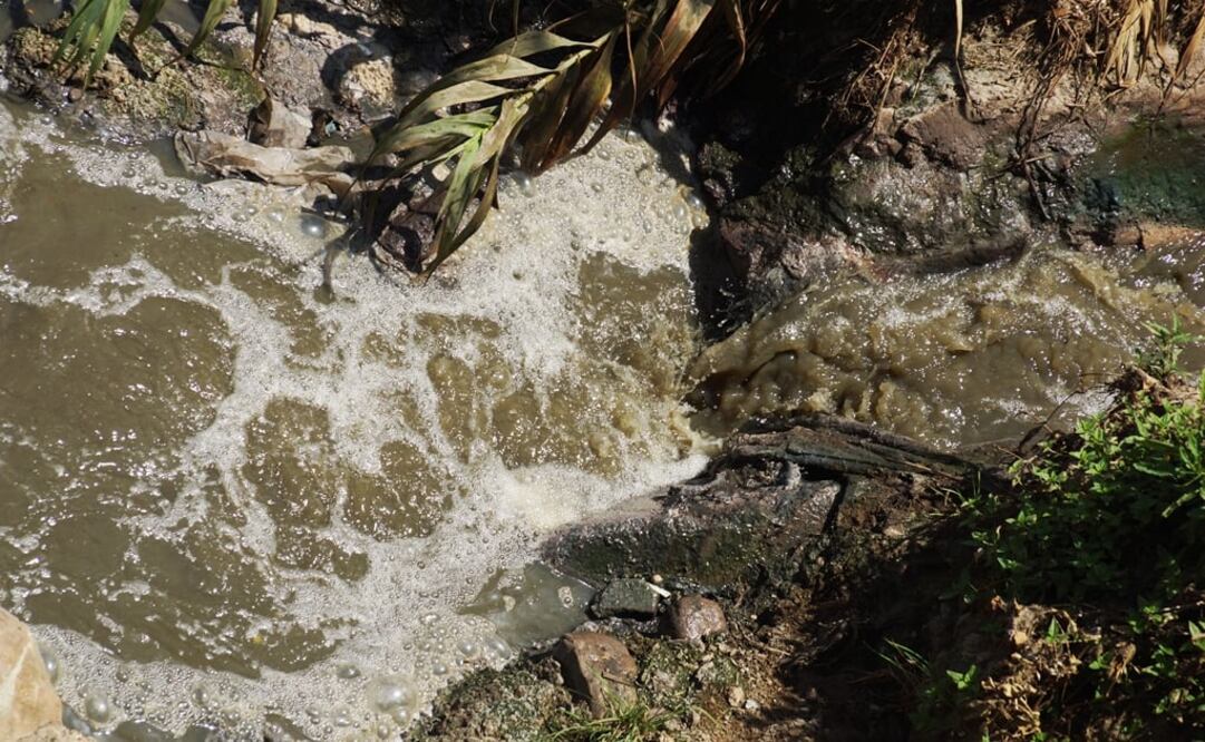 Foto: Archivo EL UNIVERSAL