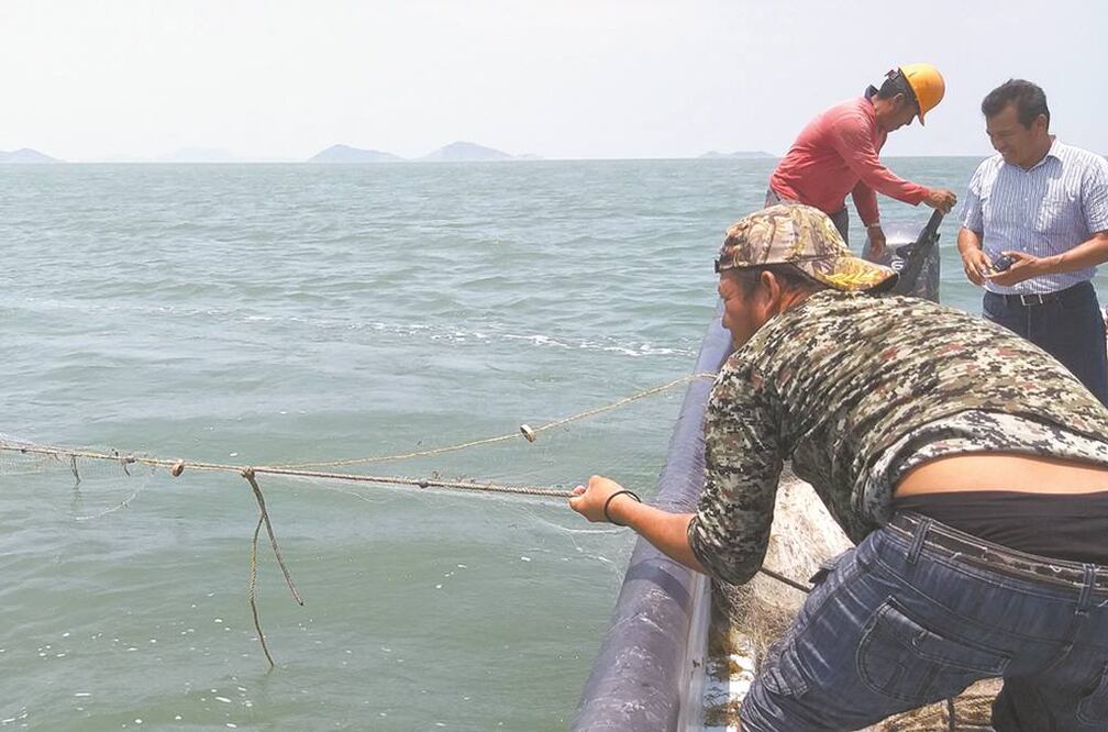 Pescadores de altamar advierten que la disminución de recursos federales impactará también a miles de empleos que genera esta actividad. Foto/ARCHIVO EL UNIVERSAL