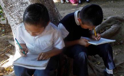 Sección 59 cerrará módulos con menos de 30 alumnos