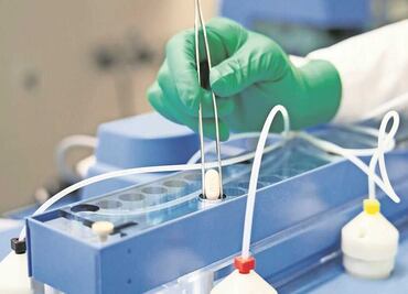 Paxlovid: cómo es el medicamento para el Covid que toma Biden y que compró México