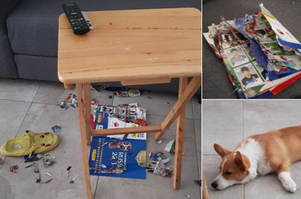 Foto: Twitter @crisvales