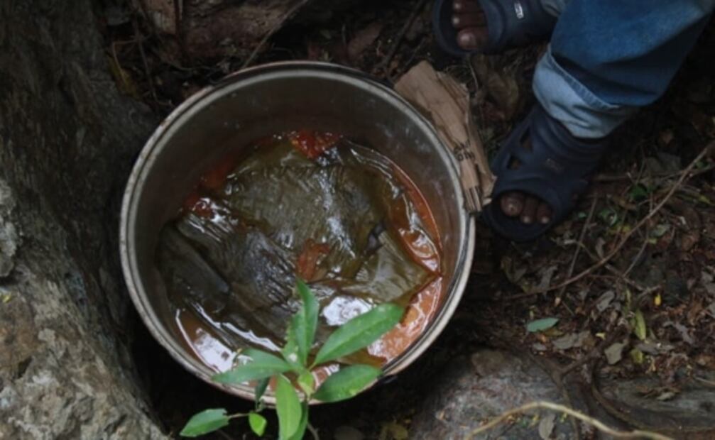 Mucibipollo, el guiso de los fieles difuntos en Yucatán