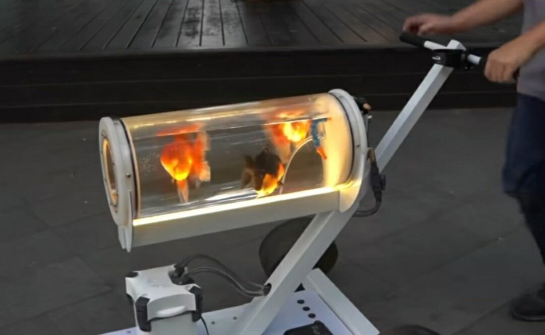 El youtuber sorprendió al internet al mostrarnos cómo crear una pecera carreola. Foto: YouTube Huang Xiaojie Jerry