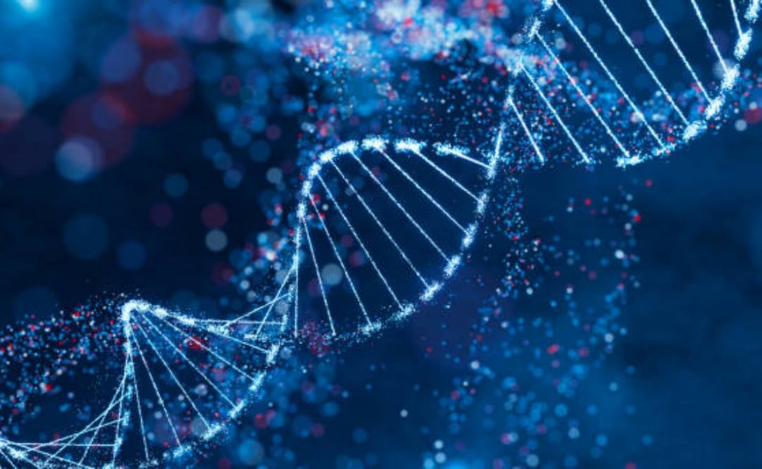 El modelo de aprendizaje profundo fue entrenado con datos procedentes de grandes consorcios públicos, que midieron experimentalmente estas propiedades en cientos de tipos de células y tejidos en humanos y ratones. Foto: iStock