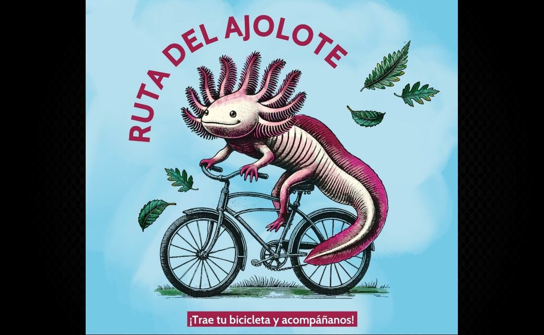 Invitan a la rodada “Ruta del Ajolote”; descubre la biodiversidad y cultura de Xochimilco. Foto: Especial