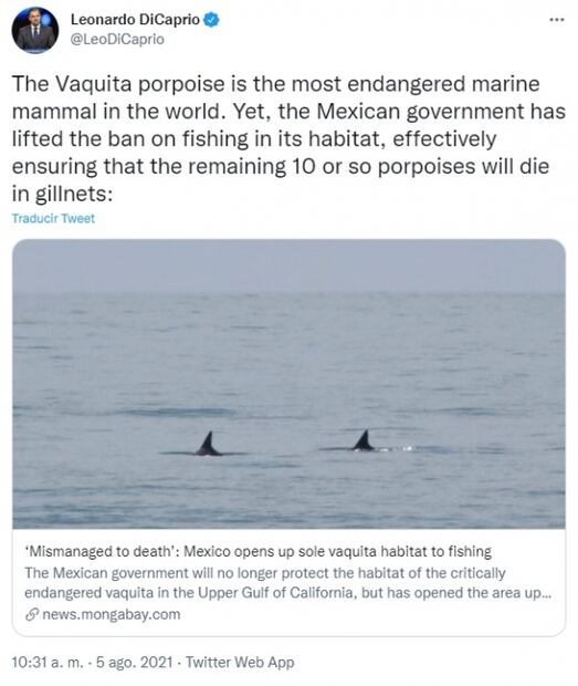 Cambiaron la fama por salvar al planeta