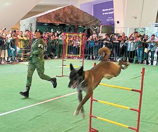 Concluyen hoy dos expos de la Sedena
