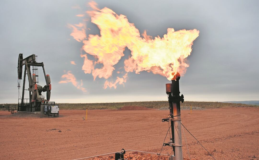 Se prevé que los productores estadounidenses crecerán. Foto: Archivo/EL UNIVERSAL.