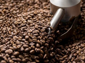 Descubre las diferencias entre el café natural, lavado y honey