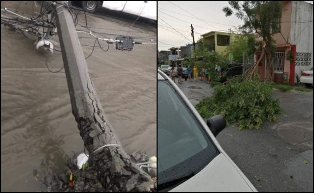 Tormenta deja árboles caídos, desbordamientos y vehículos dañados en Nuevo Laredo