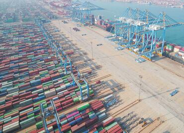 Advierten ley de la selva por inoperancia de OMC