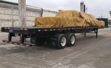 ​Detectan madera con plaga de insectos en Matamoros