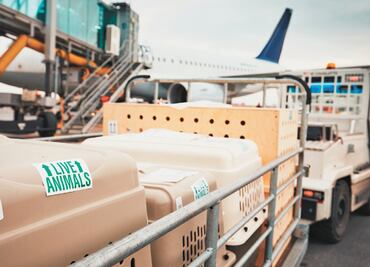 El conflicto de EU y China afecta negocio de carga aérea