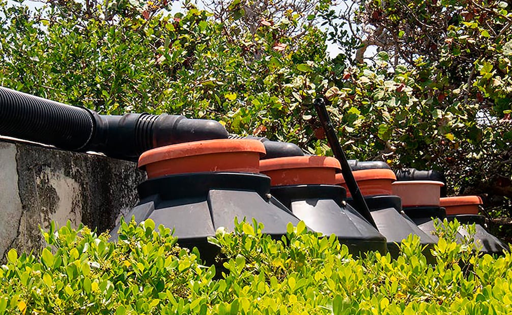 Foto: Cortesía SimiPlaneta