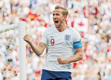 Harry Kane festeja en la cima de su carrera