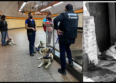 Diputados denuncian legalmente dos hechos de discriminación y maltrato animal en la CDMX