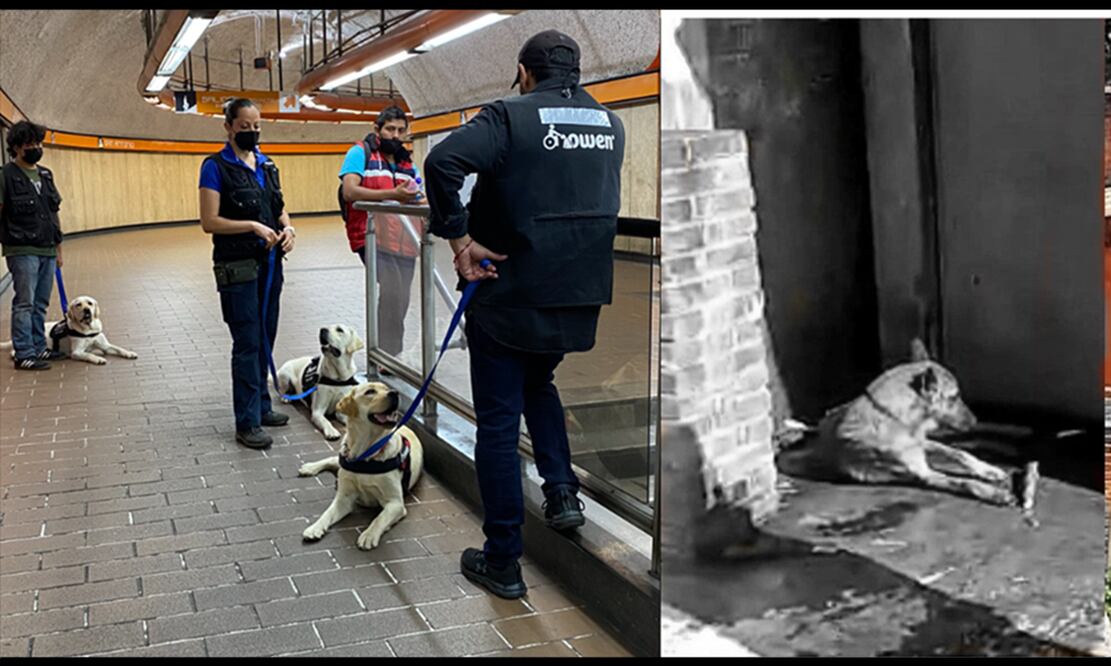 FOTO: Especial/EL UNIVERSAL/