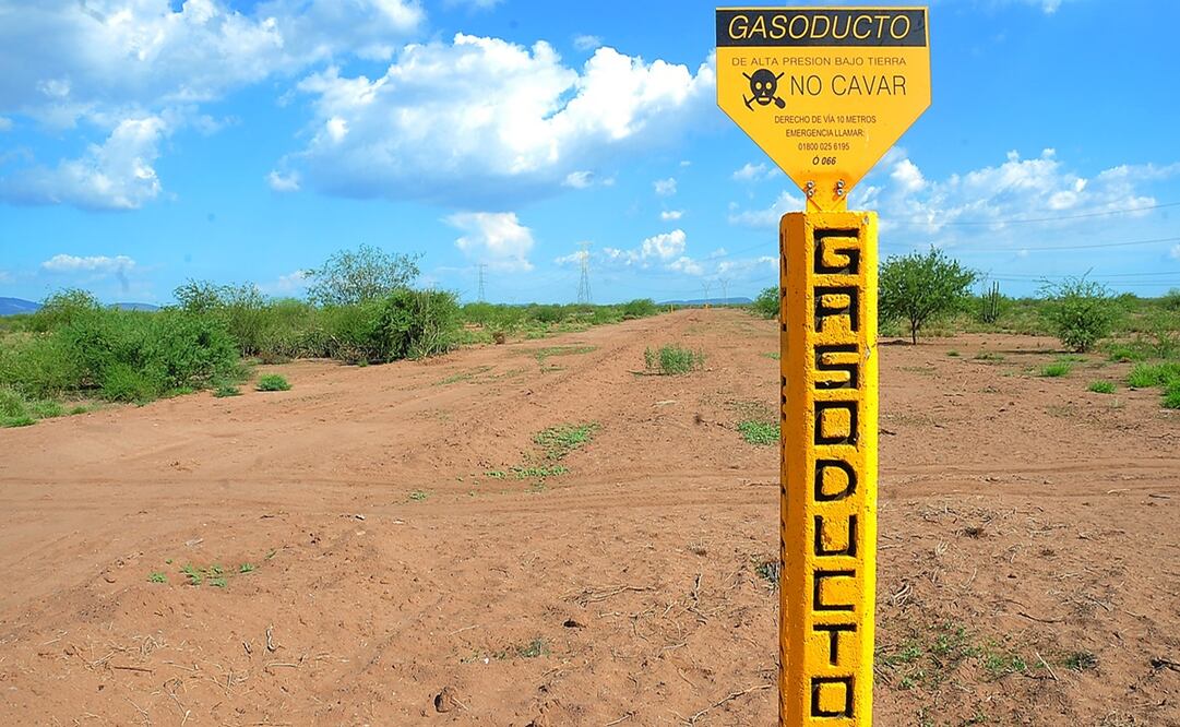 Foto: Archivo / EL UNIVERSAL