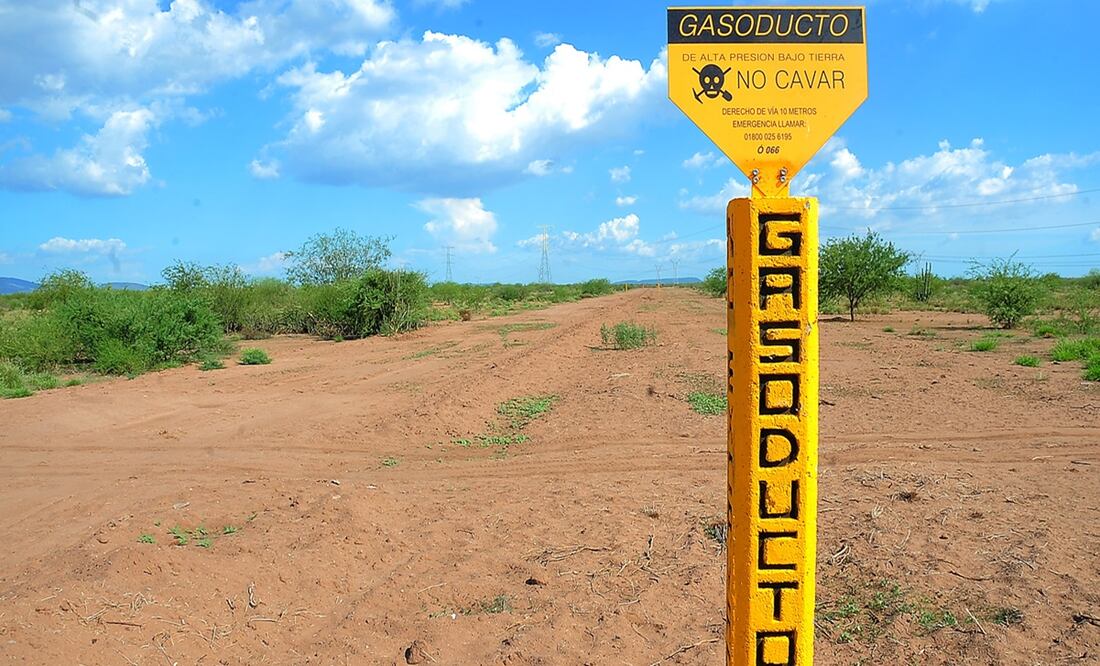 Foto: Archivo / EL UNIVERSAL