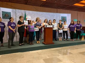 Diputadas exigen a AMLO que se respeten recursos para refugios de mujeres