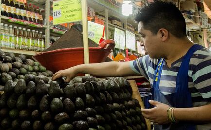 Precio del aguacate vuelve a escalar; llega a los $68.75: Profeco