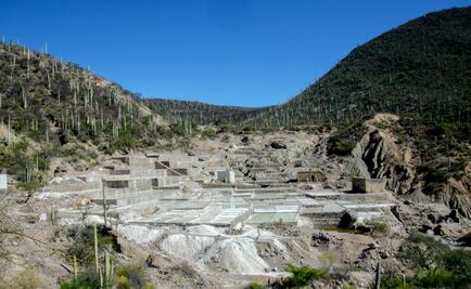 El mineral que aloja el sabor