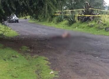 Fauna carcome cadáver en Xalatlaco, Edomex