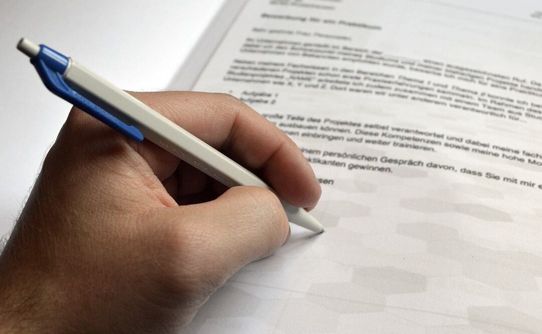 Zurdo. / Foto: Pixabay