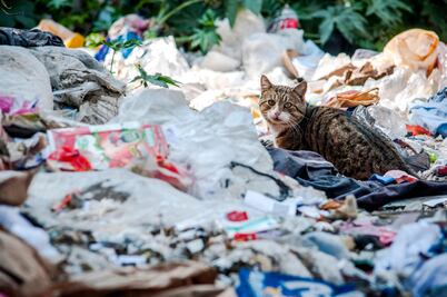 Plantea Semarnat cobro de $90 al mes por recolección de basura