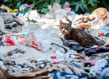 Plantea Semarnat cobro de $90 al mes por recolección de basura
