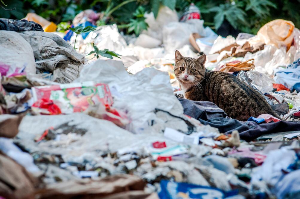 Cuartoscuro/ARCHIVO EL UNIVERSAL