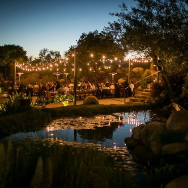 Ensenada: guía de viaje por la Ruta del Vino