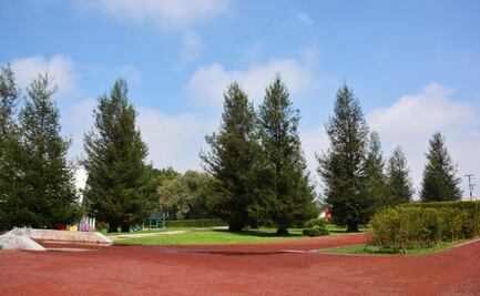 Con semáforo naranja, zoológicos y parques reducen a 50% su aforo en Edomex 