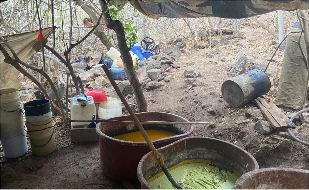 De julio del 2023 a julio del 2024 Semar y FGR asegura en Durango y Sinaloa 926 toneladas de droga. Foto: Especial