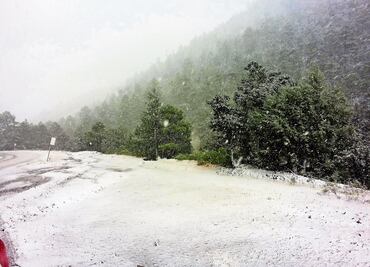 Emiten declaratoria de emergencia para 11 municipios de Chihuahua