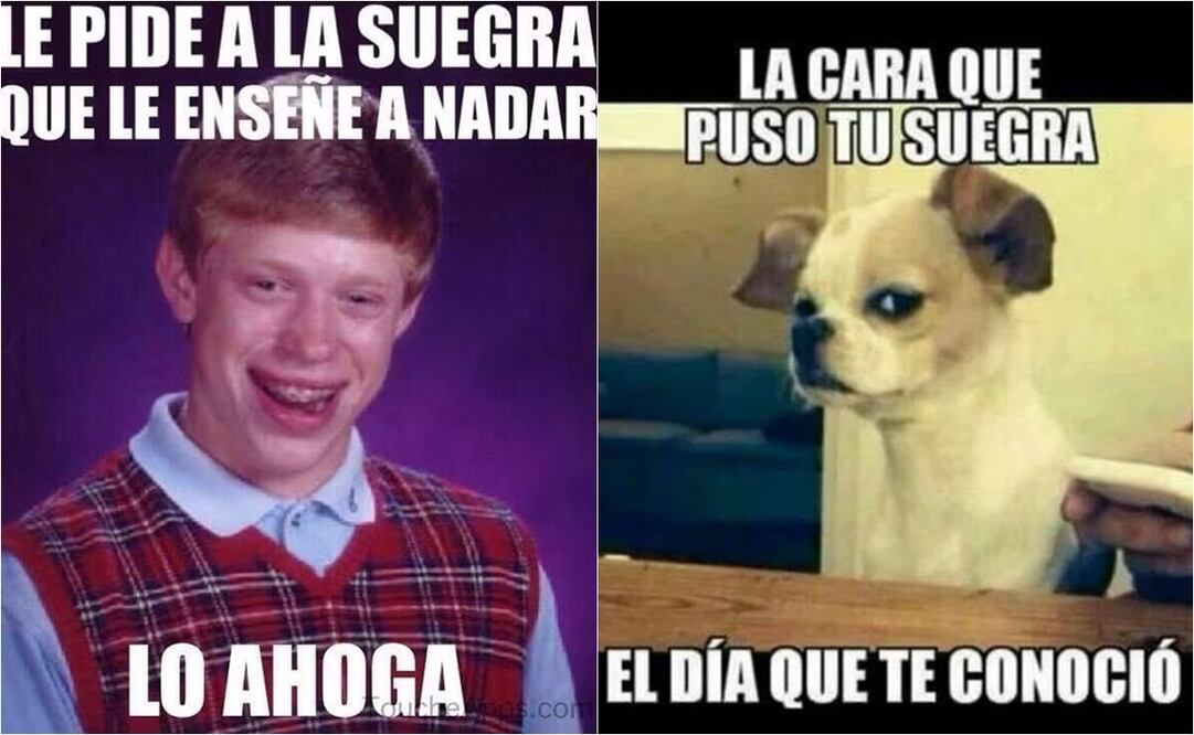 Algunos usuarios consideran que su suegra los odian. Foto: X