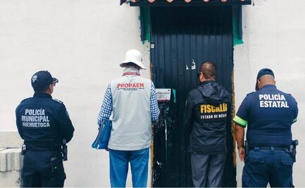 Rescatan a 52 gatos y 4 patos en mal estado en un predio habilitado como refugio animal en Edomex