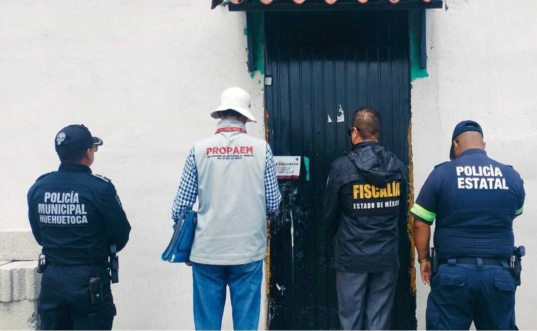 Rescatan a 52 gatos y 4 patos en mal estado en un predio habilitado como refugio animal en Edomex. Foto: Especial