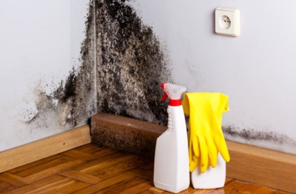 Algunas humedades pueden indicar daños estructurales o problemas en tuberías. Foto: Pexels
