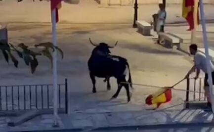 VIDEO: Hombres torturan y matan a toro que deambulaba en plena calle en España 