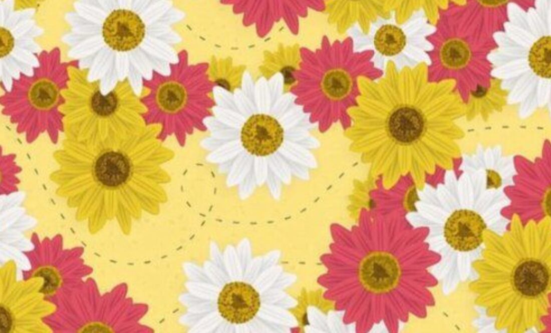 Un nuevo reto visual ha causado furor en redes sociales, al plantear un complicado desafío ¿Te animas a intentarlo?