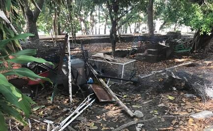 Denuncian abandono en zoológico de Veracruz; autoridades lo niegan