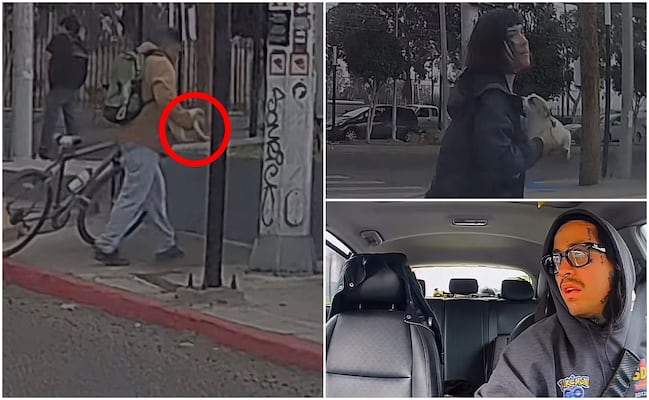VIDEO: Abandonan a perrito en carretera de Tijuana y pareja baja del auto para rescatarlo; reacción se vuelve viral