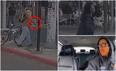 VIDEO: Abandonan a perrito en carretera de Tijuana y pareja baja del auto para rescatarlo; reacción se vuelve viral