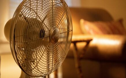¡Adiós calor! Estos son los mejores ventiladores de 2025, según Profeco