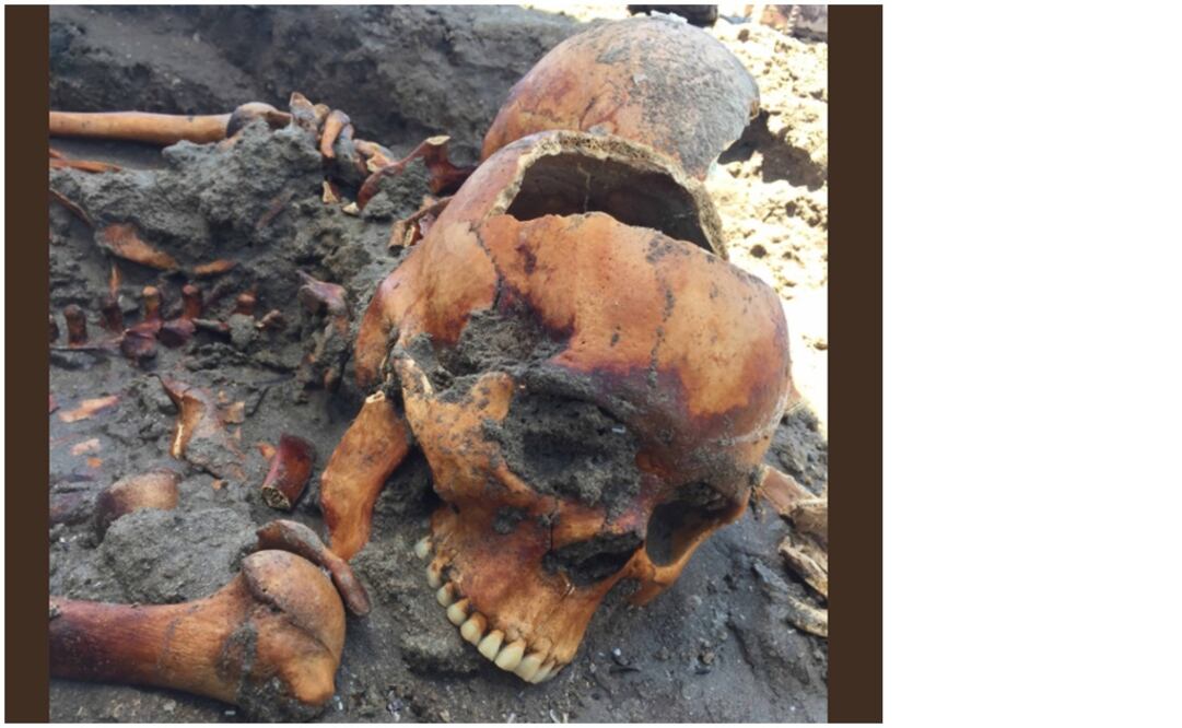 Foto: Tomada de la página de Twitter del IPN