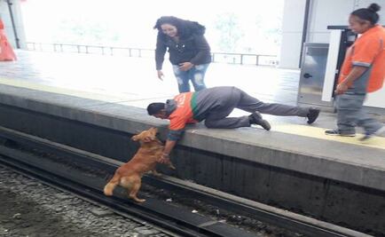 Condenan muerte de perro en Metro Pantitlán 