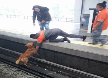 Condenan muerte de perro en Metro Pantitlán